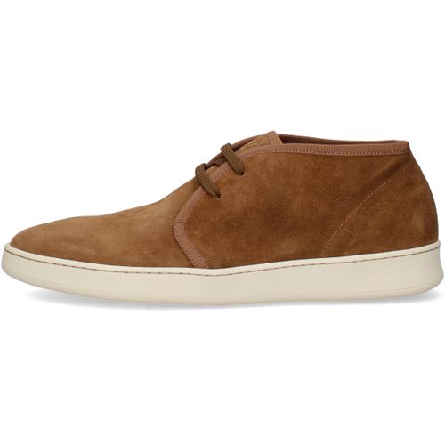 Bottines Frau 24B5 - Frau - Modalova