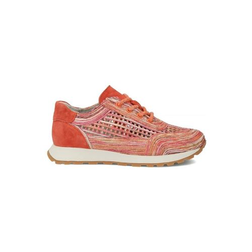 Baskets basses Filippo DP772026OR - Filippo - Modalova