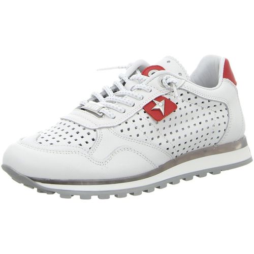 Baskets basses Cetti - Cetti - Modalova