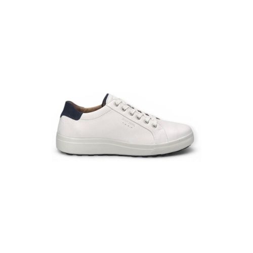 Baskets basses Josef Seibel Maddox - Josef Seibel - Modalova