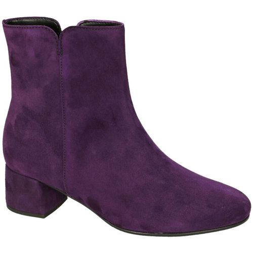 Bottines Gabor 55.680.13 - Gabor - Modalova