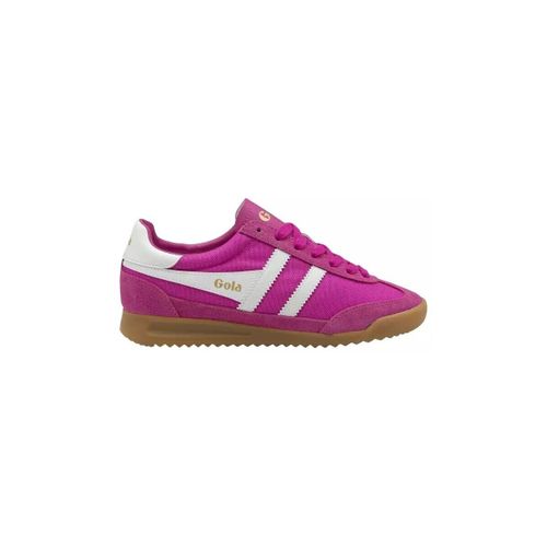 Baskets basses Chaussures CLB623 - Gola - Modalova