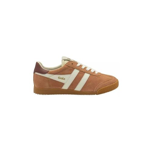 Baskets basses Chaussures CLB538 - Gola - Modalova