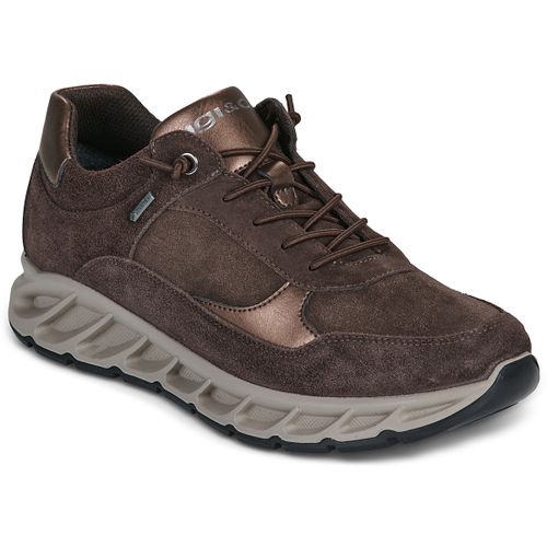 Baskets basses IgI&CO D.KROSS GTX - IgI&CO - Modalova