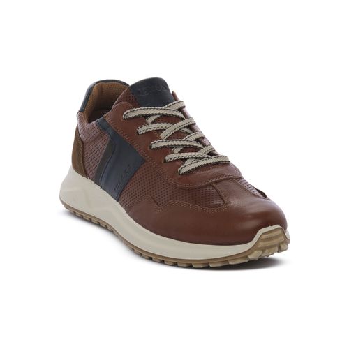 Baskets basses SARONNO COGNAC - IgI&CO - Modalova