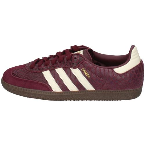 Baskets basses adidas - adidas - Modalova