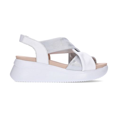 Sandales compensées 29930 blanco_plata - CallagHan - Modalova