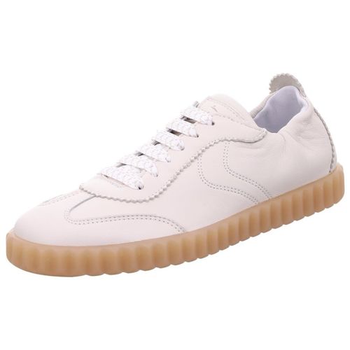 Baskets basses Voile Blanche - Voile Blanche - Modalova