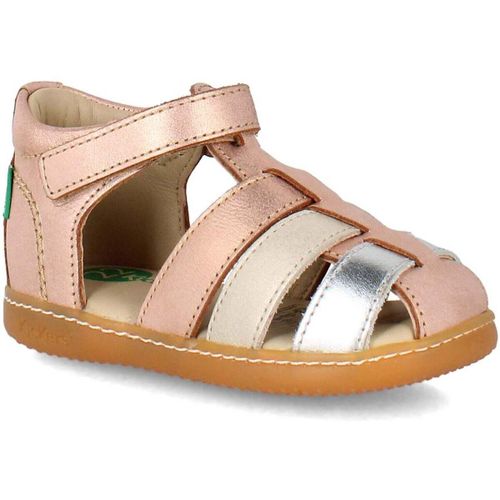 Chaussures 1er pas Kickers kick flo - Kickers - Modalova