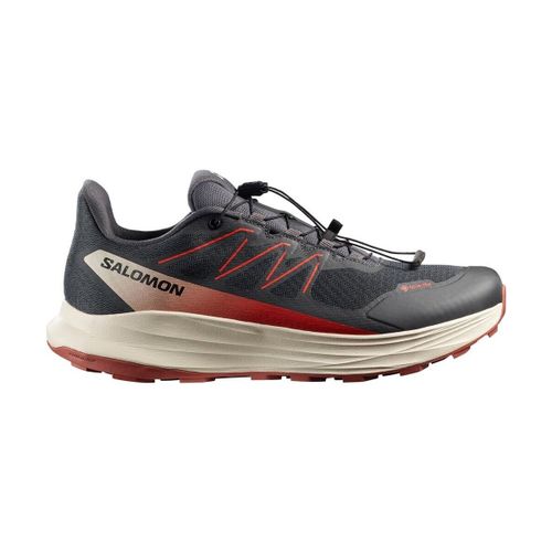 Chaussures Salomon Alpharide 2 GTX - Salomon - Modalova