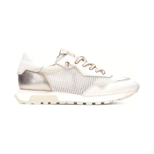 Baskets basses hv264825 cava_c001 - Hispanitas - Modalova