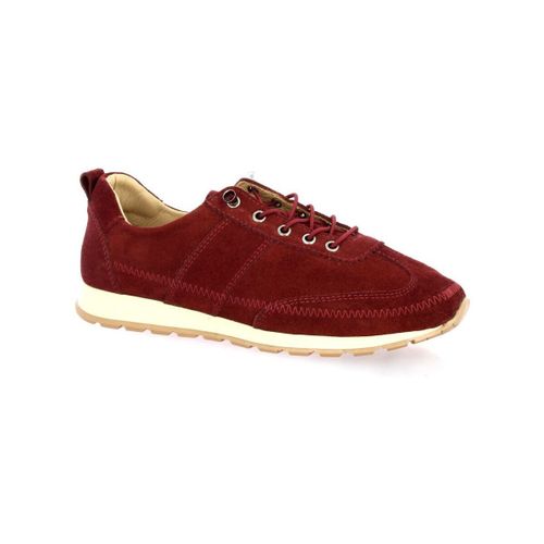 Baskets basses Baskets cuir velours bdeaux - K.mary - Modalova