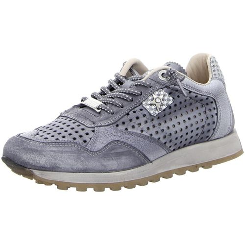 Baskets basses Cetti - Cetti - Modalova