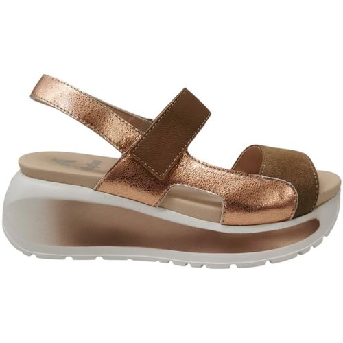 Sandales compensées 35204 - CallagHan - Modalova
