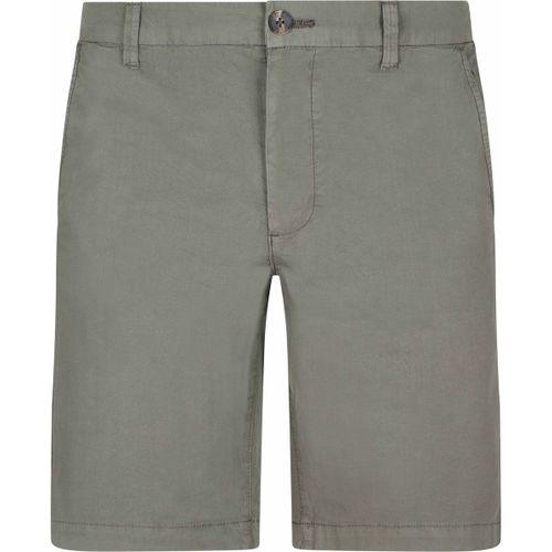 Short Short Poplin GMD Olive - Mcgregor - Modalova