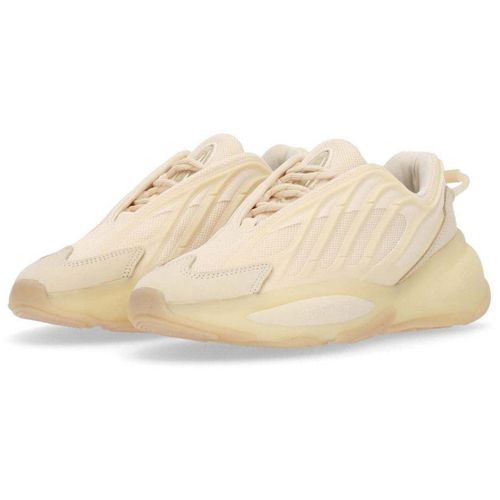Baskets basses Ozrah W Ecru Tintecru Tintmagic - adidas - Modalova