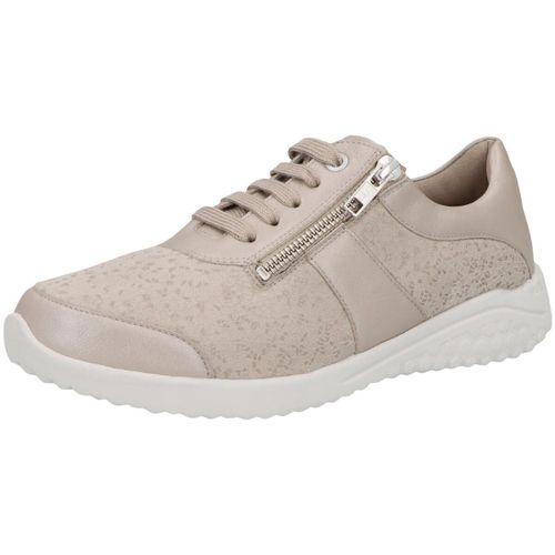 Baskets basses Solidus Kyle - Solidus - Modalova