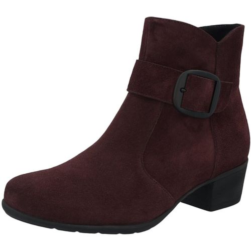 Bottines Solidus Kerry - Solidus - Modalova