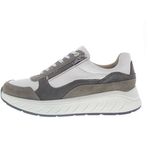Baskets basses Solidus Ken - Solidus - Modalova