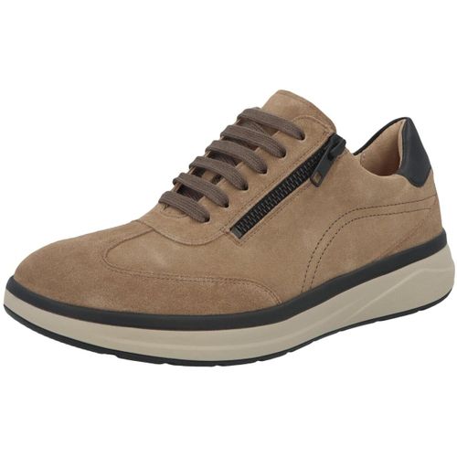 Baskets basses Solidus Karima - Solidus - Modalova
