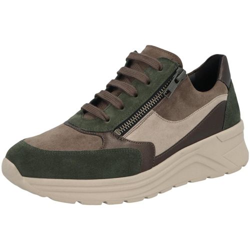 Baskets basses Solidus Holly - Solidus - Modalova