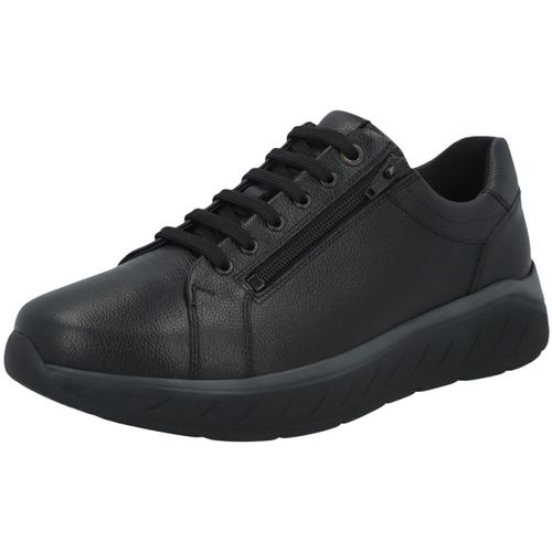 Baskets basses Solidus Ken - Solidus - Modalova