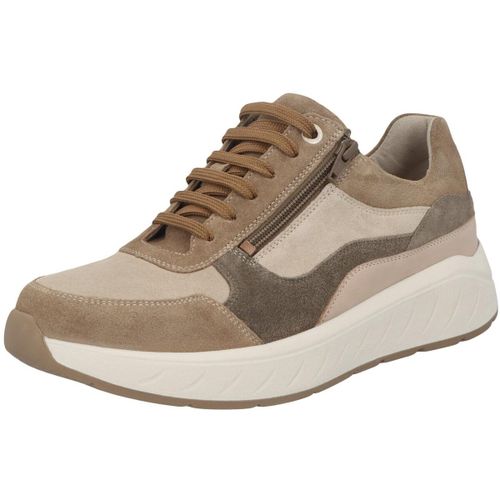 Baskets basses Solidus Ken - Solidus - Modalova