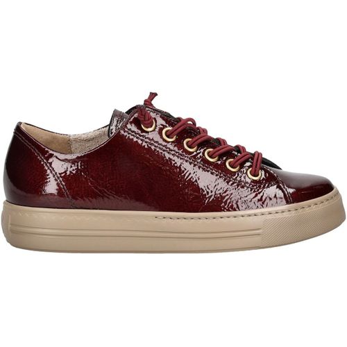 Baskets basses Paul Green Sneaker - Paul Green - Modalova