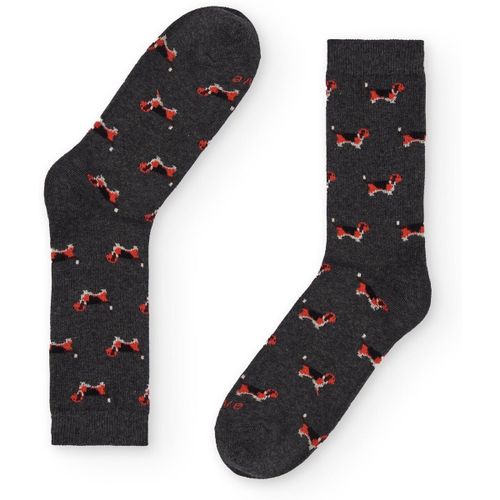 Chaussettes Naive BEAGLE5C - Naive - Modalova
