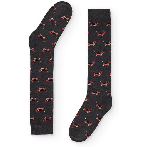 Chaussettes Naive BEAGLE5L - Naive - Modalova