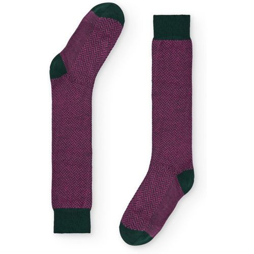 Chaussettes Naive ESPIGA21L - Naive - Modalova