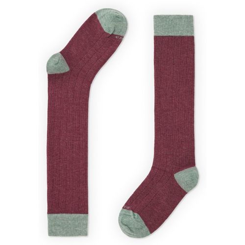 Chaussettes Naive OXF94L - Naive - Modalova