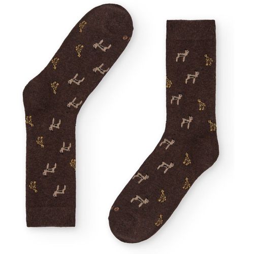 Chaussettes Naive SAFARI4C - Naive - Modalova