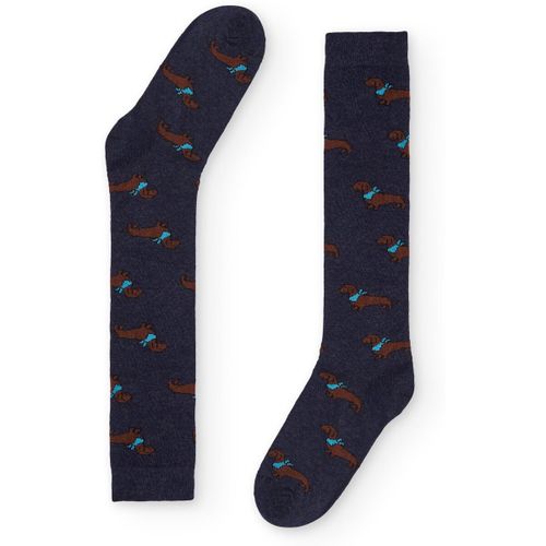 Chaussettes Naive TECKEL17L - Naive - Modalova