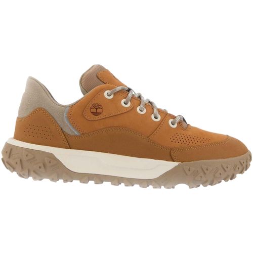 Baskets basses Timberland tion 6 - Timberland - Modalova
