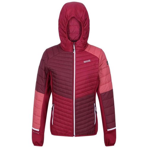 Veste Regatta Trutton - Regatta - Modalova