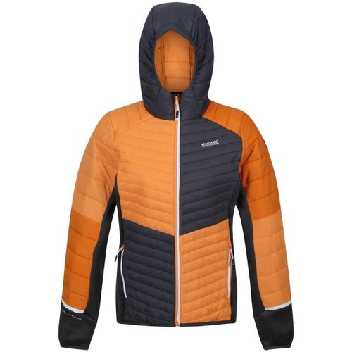 Vestes techniques Regatta Trutton - Regatta - Modalova