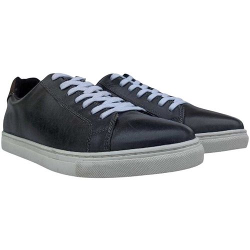 Baskets basses Firetrap Julian - Firetrap - Modalova