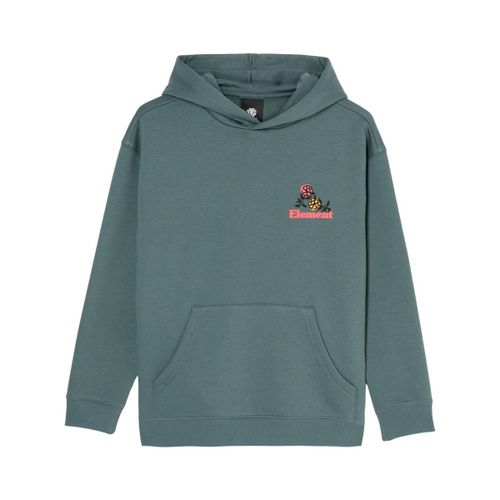 Sweatshirts à capuche Hands Full - Element - Modalova