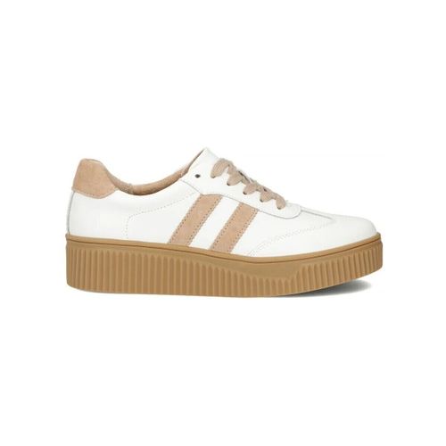 Baskets basses Filippo PAW641D - Filippo - Modalova