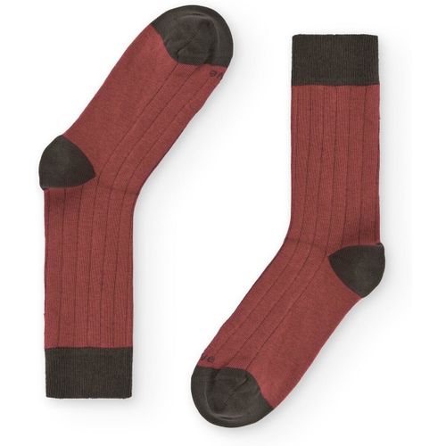Chaussettes Naive LINES22C - Naive - Modalova