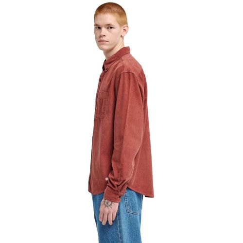 Chemise Button Down Regular Corduroy - Element - Modalova