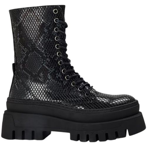 Bottes Steve Madden Coast - Steve Madden - Modalova