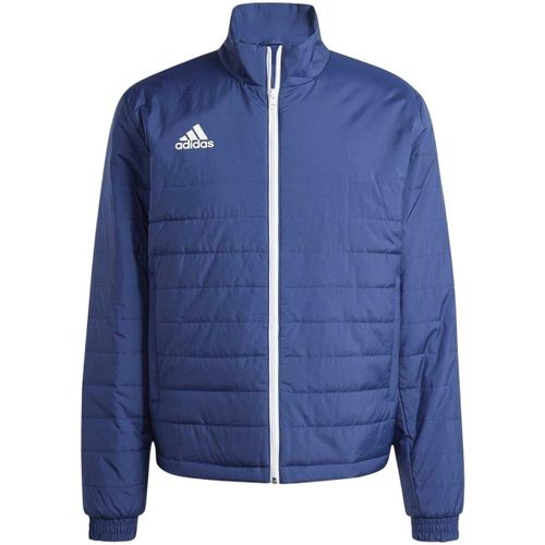 Veste adidas Entrada - adidas - Modalova