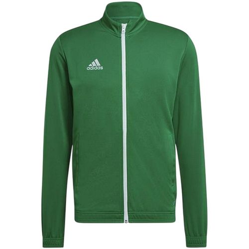 Veste adidas ENT22 - adidas - Modalova