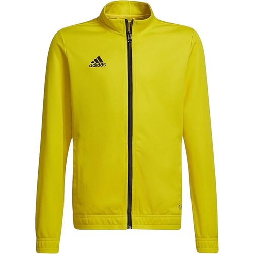Veste adidas ENT22 - adidas - Modalova