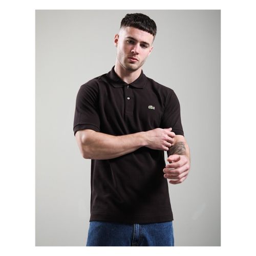 Polo Lacoste - Lacoste - Modalova