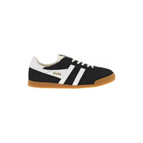 Baskets basses Gola 1211503 - Gola - Modalova
