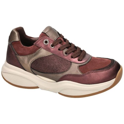 Baskets Swx27 32009.2.729 - Hx - Xsensible - Modalova
