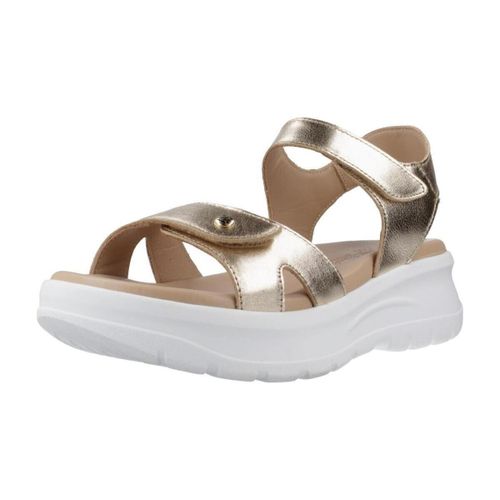 Sandales compensées Nita Shine B1 - Panama Jack - Modalova